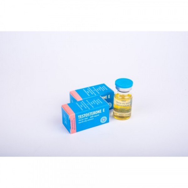 Тестостерон Энантат от Radjay Pharm (250mg\10ml) Тестостерон Энантат от Radjay Pharm (250mg\10ml)